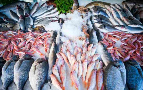 Pemkab Karawang Dorong Peningkatan Produksi Olahan Serba Ikan
