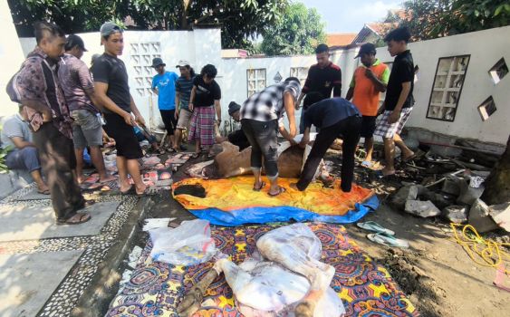 Kegiatan Berbagi Daging Kurban, Wujud Kepedulian Sosial Lili Mahali kepada Warga dan Kader PKB Dapil 2 Karawang