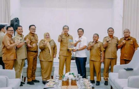 Estetika Kota Karawang Segera Dibenahi, Bupati Aep Syaepuloh Siap Tertibkan Kabel Utilitas Udara